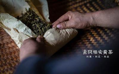 黄芽口感与色泽的磨炼--柏月辉手工茶三十年2