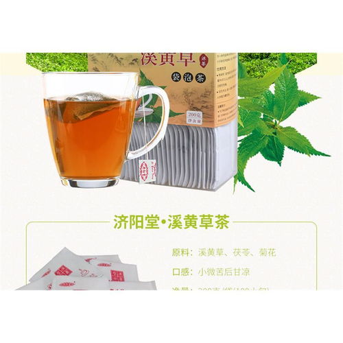 实惠装济阳堂 溪黄草茶 袋泡茶叶100包春季溪黄茶 广东特产凉茶包