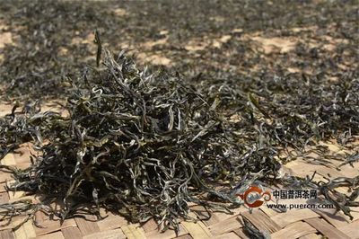 普洱茶投资分析:市场好不好,看产量啊