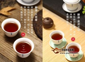 德丰昌 高端山头古树熟茶隆重推新