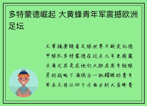 多特蒙德崛起 大黄蜂青年军震撼欧洲足坛 多特蒙德崛起 大黄蜂青年军震撼欧洲足坛