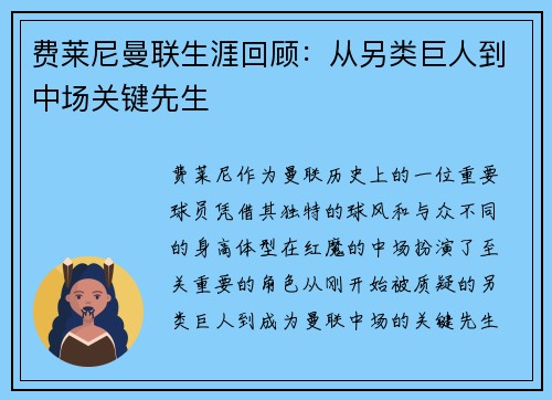 费莱尼曼联生涯回顾:从另类巨人到中场关键先生 费莱尼曼联生涯回顾:从另类巨人到中场关键先生